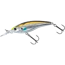 Amazon.co.jp: ダイワ(DAIWA) バスルアー STEEZサイレント